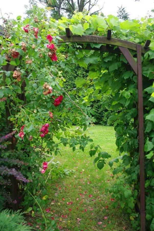 Rozdroze Wysowa-Zdroj Bagian luar foto